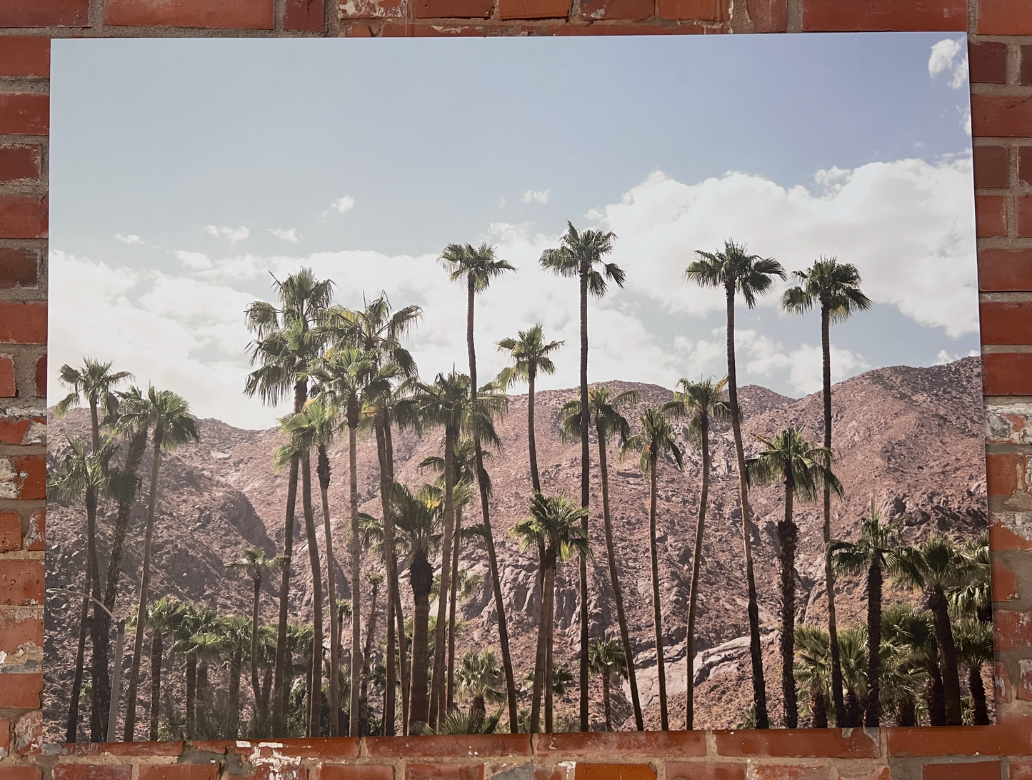 Desert Silhouette | CONNECTING 2026 Edition